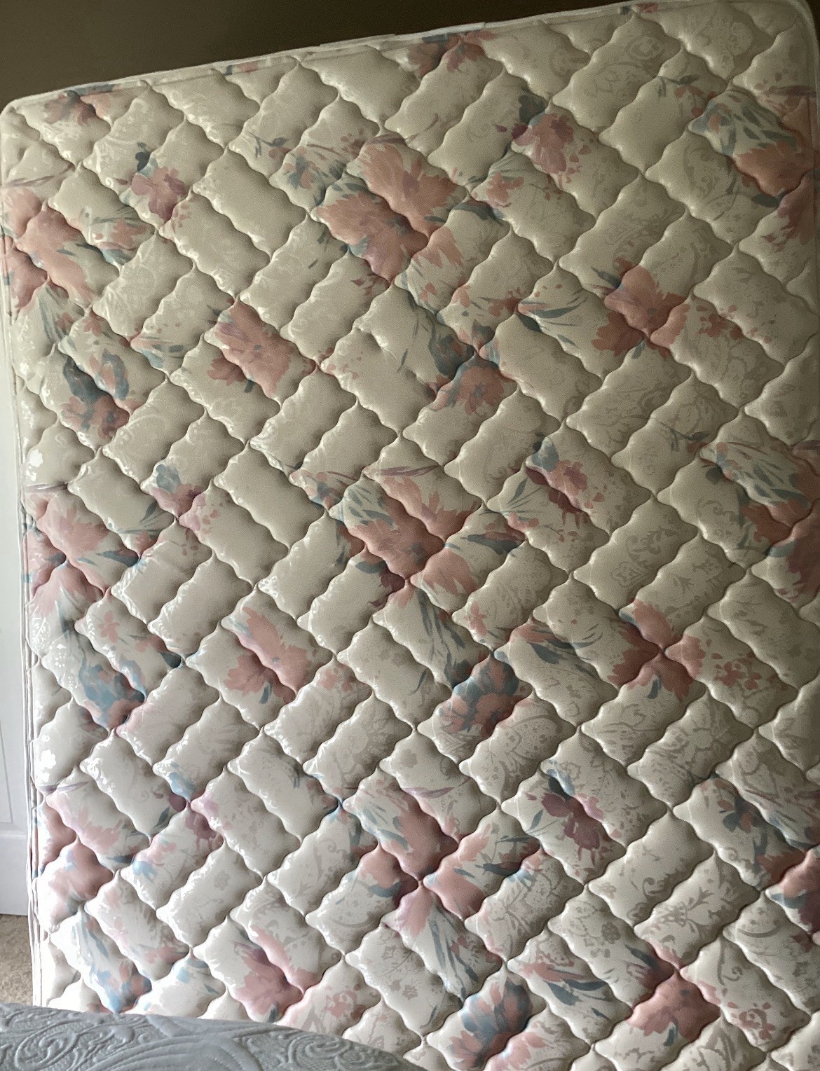 Sealy Queen Firm Open Spring Floral Quilted Fabric Mattress Beige/Pink/Green