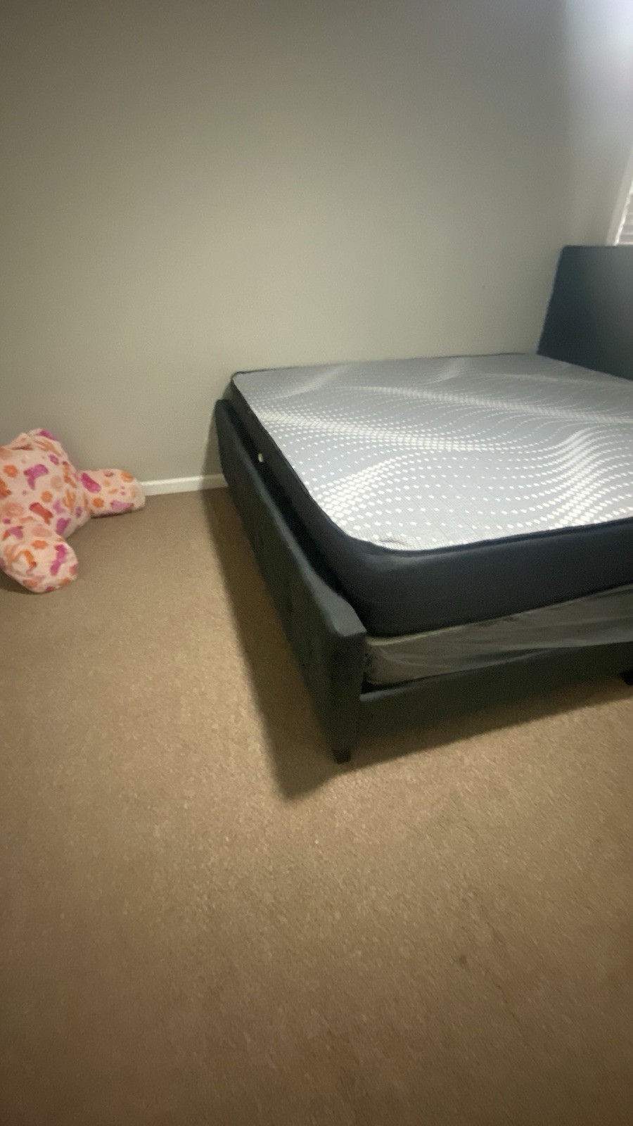 dream cloud mattress king