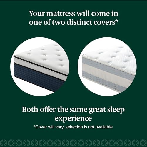 ZINUS 10 Inch Comfort Support Hybrid Mattress, Queen ZU-MSHO1SZI-10Q – White