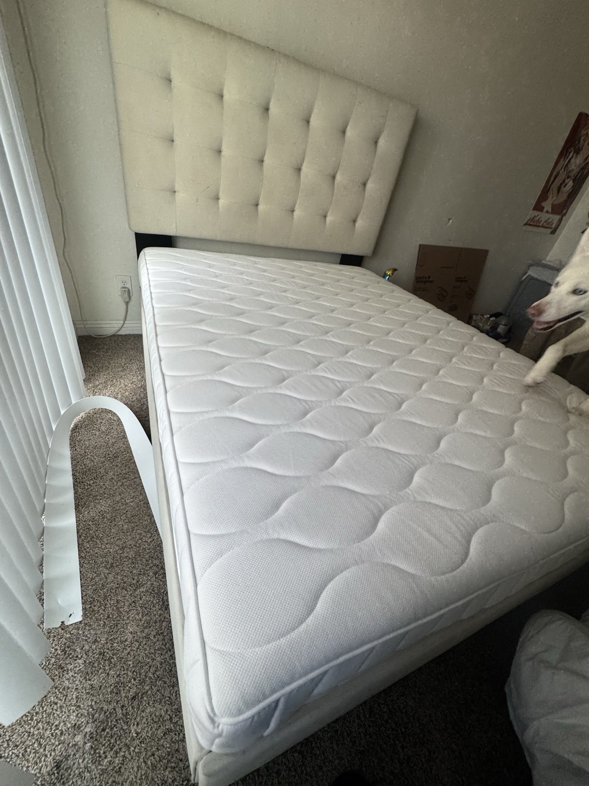 Full Size Mattress IKEA