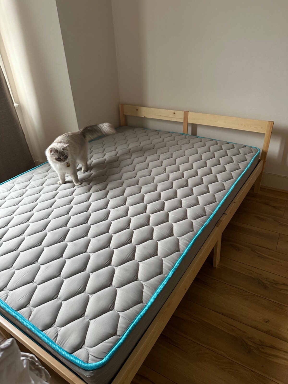 linenspa double size firm mattress with free bed frame