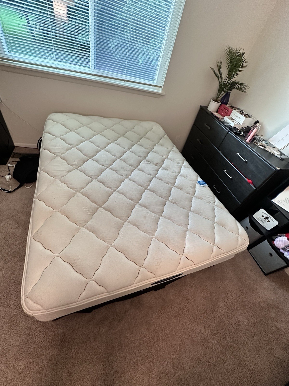 Mount Rainier Plush- Queen Size Mattress, Box Spring Set, 4 Bed Raisers