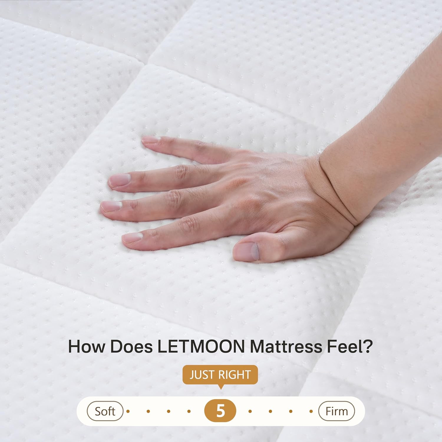 LETMOON King Mattress 12 Inch, Luxury Hybrid King Size Mattress in a Box with Co