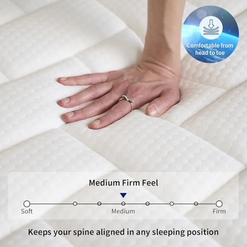 Mattress, 12 Inch Size Mattress in a Box with Memory Foam Hybrid, Twin 12N