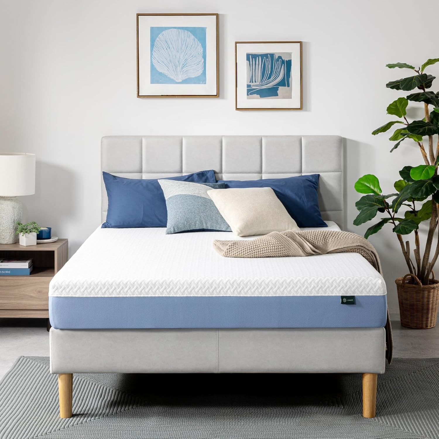 8 Inch Queen Cooling Essential Memory Foam Mattress [NewVersion], Fiberglass …