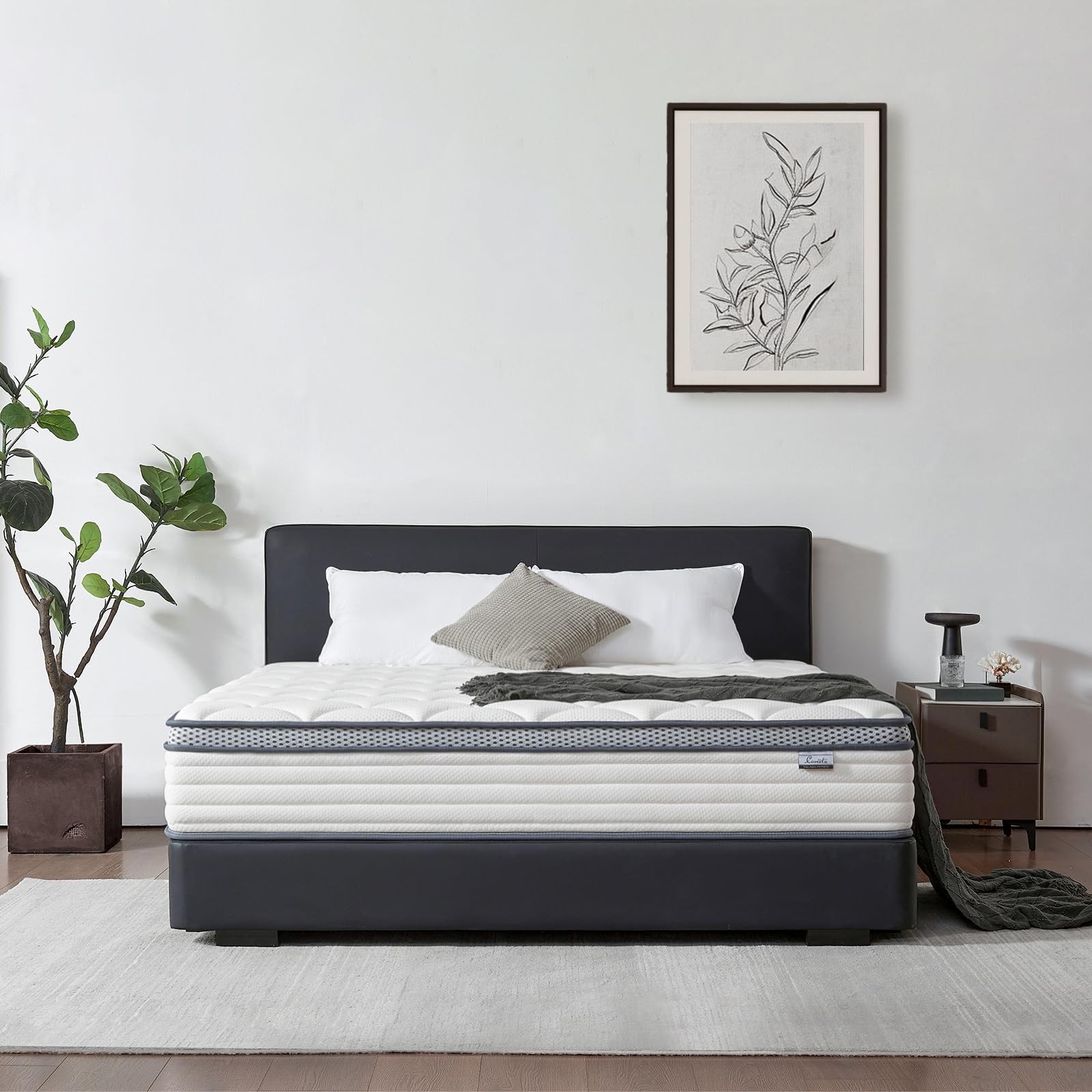 12 Inch Queen Mattress in a Box, Medium Firm Hybrid Mattress with Pocket Spri…
