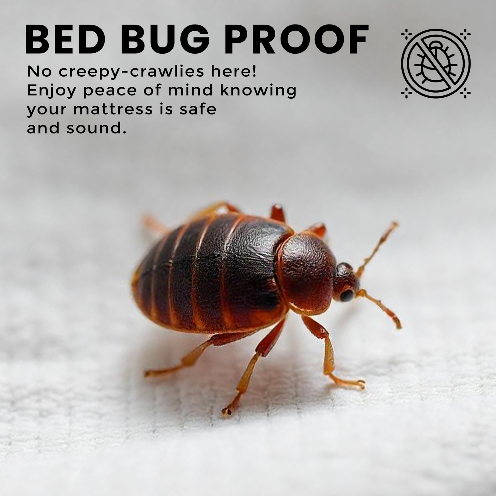 Premium Waterproof Bed Bug Mattress Cover, King Zippered Mattress Protector, …