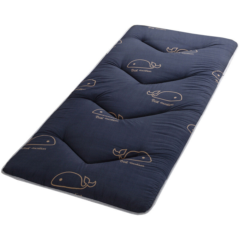 0.9 Mattress Single 1 Meter Tatami Sponge 0.8 Meter Bunk Top Home Comfortable