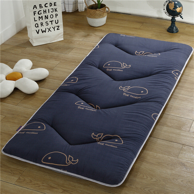 0.9 Mattress Single 1 Meter Tatami Sponge 0.8 Meter Bunk Top Home Comfortable