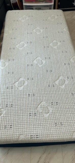 2x Sealy Twin XL mattresses White 8 inch, used but in very good condition