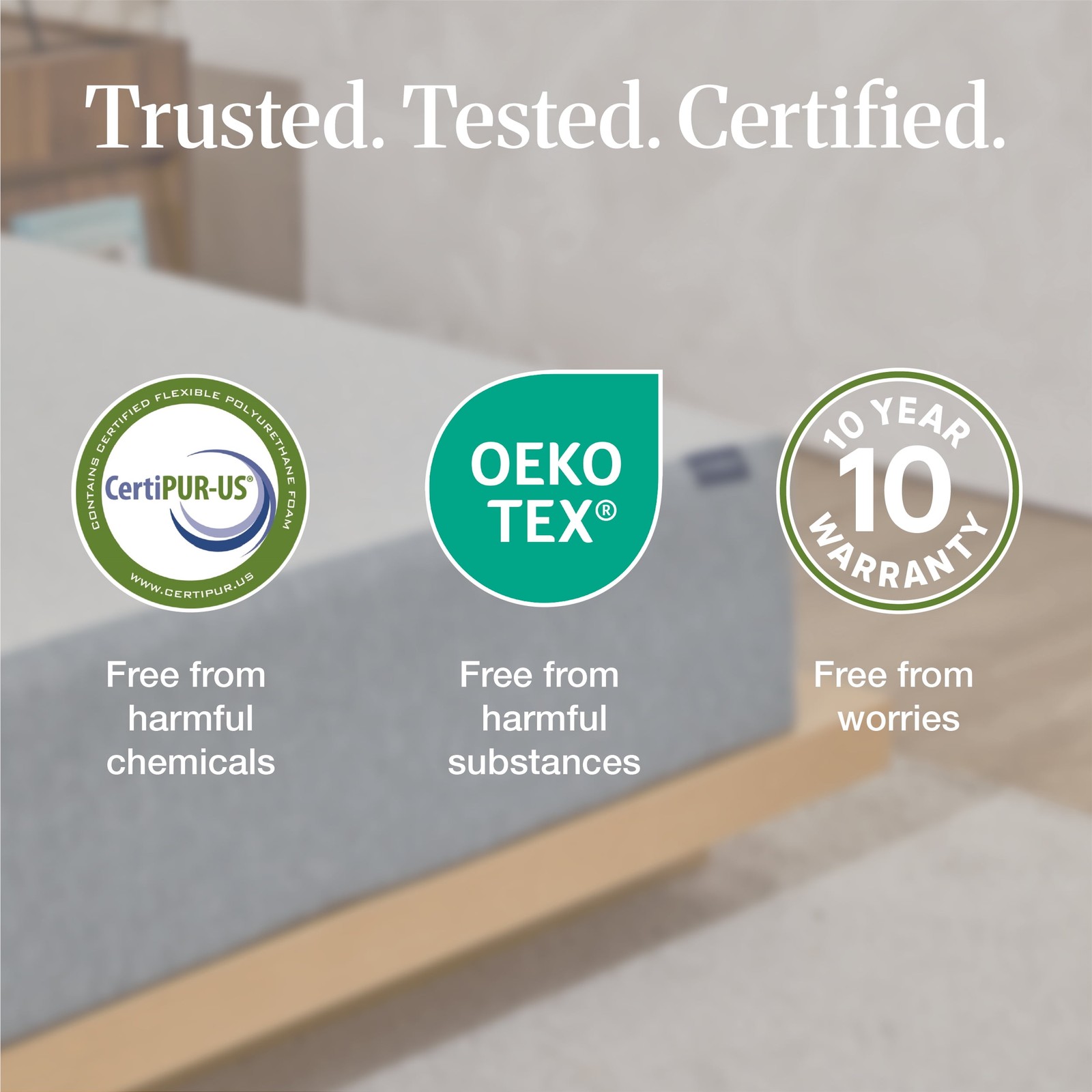 LIFEMENT Basic 6 Inch Twin Memory Foam Mattress in a Box, Medium Firm | Graphite