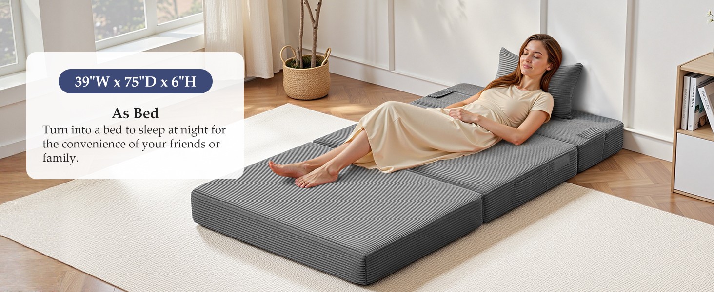 Folding Sofa Bed Convertible Sleeper Chair with Pillow, 4-in-1