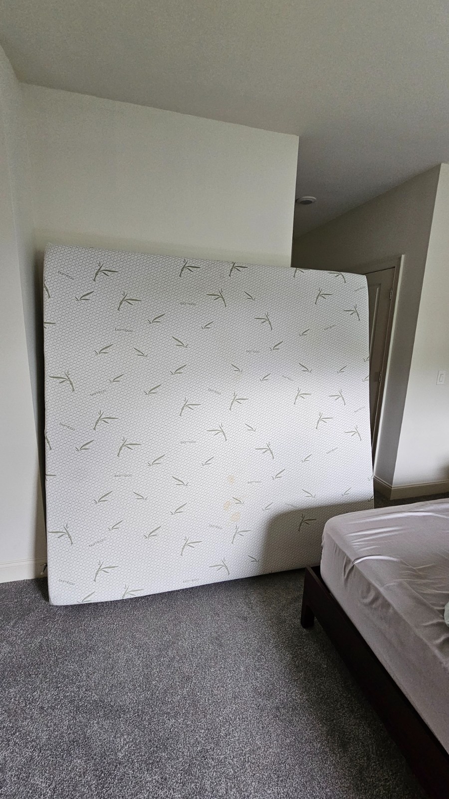 Bamboo 10″ Medium Plush Memory Foam Mattress
