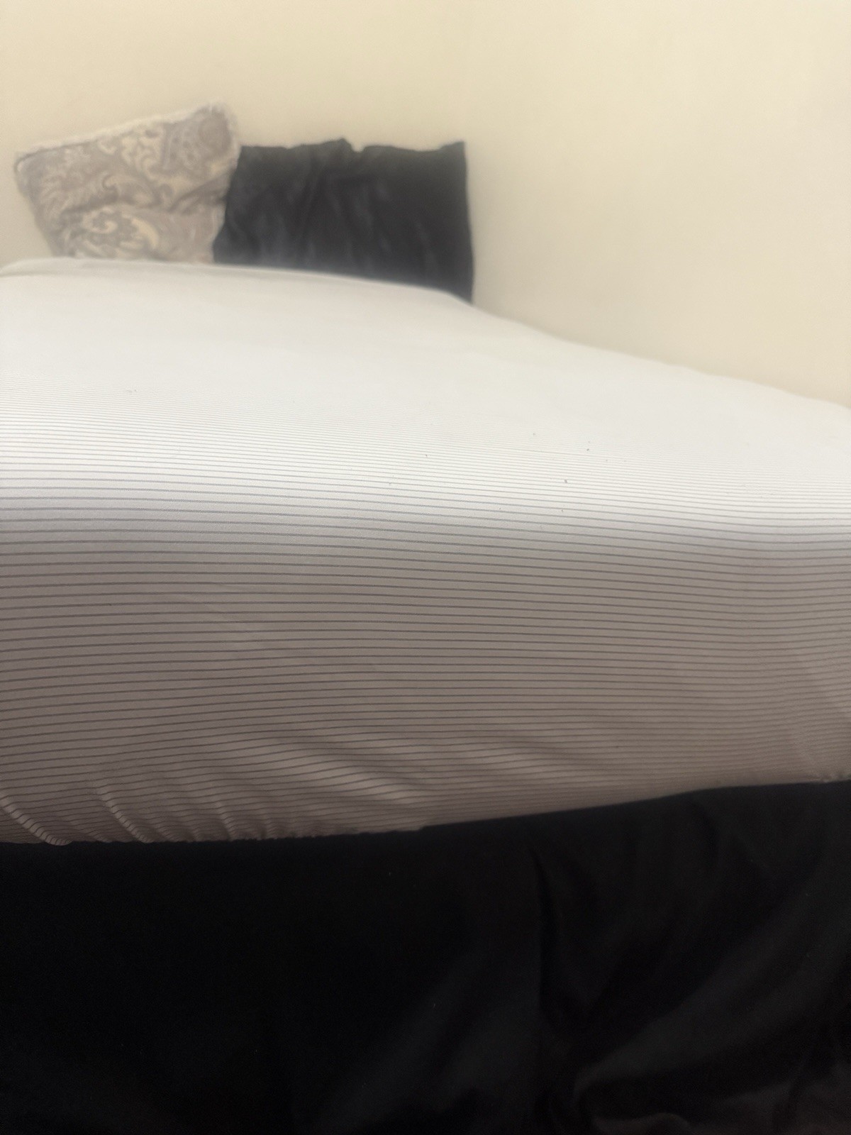 Zinus Spa Sensations 8” Twin Memory Foam Mattress – Clean, Used 5 Mos