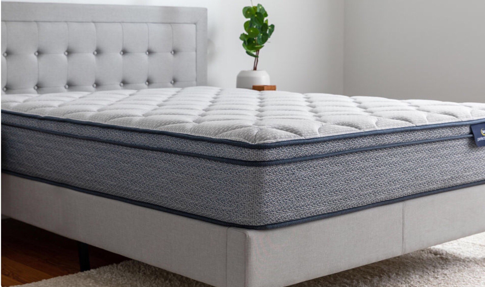Serta Perfect Sleeper Charlotte Medium Plush Euro Top – Queen Size Mattress