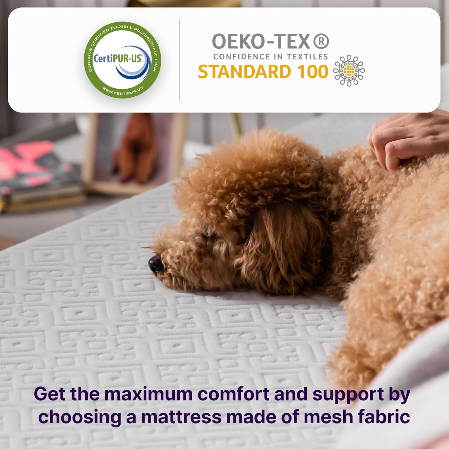 6 Inch Twin-Xl Size Mattress, Cooling Gel Memory Foam Mattress, Bed in a Box,Whi