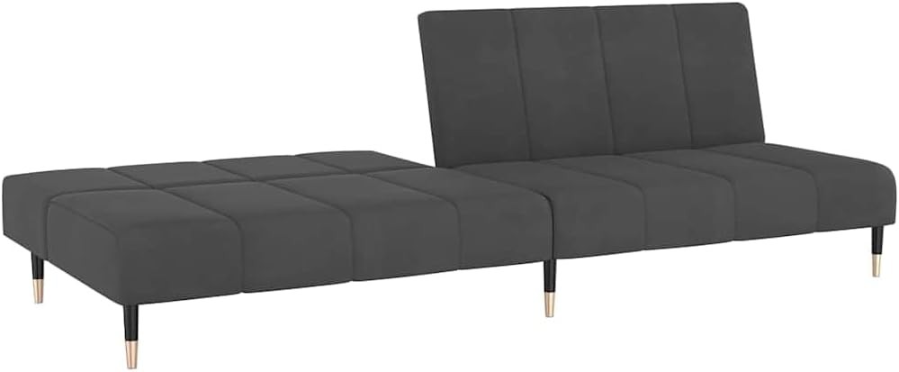 2-Seater Sofa Bed Convertible Sleeper Sofa for Small Space, Dark Gray