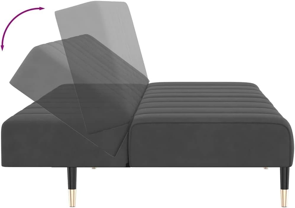2-Seater Sofa Bed Convertible Sleeper Sofa for Small Space, Dark Gray