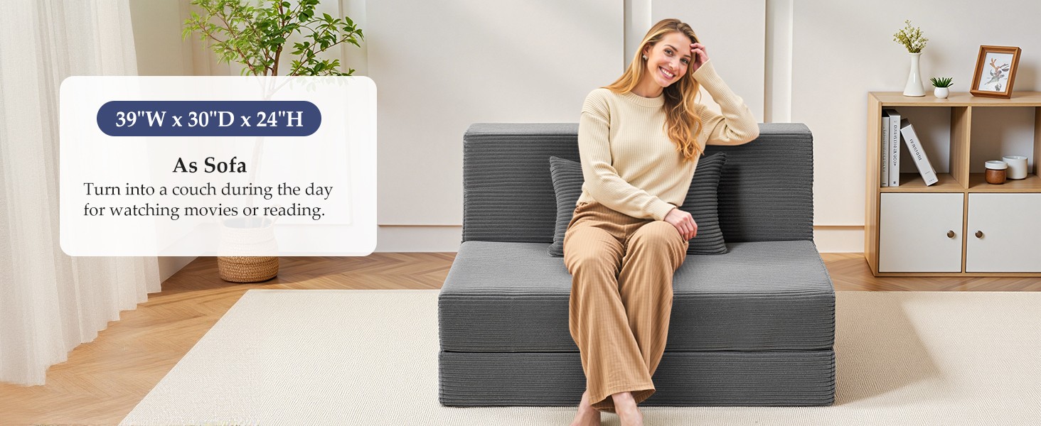Folding Sofa Bed Convertible Sleeper Chair with Pillow, 4-in-1