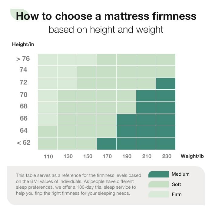 10 Inch Queen Size Mattress, Queen Hybrid Mattress in a , Individually Wrappe…