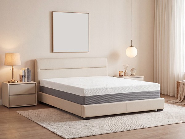 Queen Size Memory Foam Mattress Compressed Box Delivery Easy Setup for All Frame