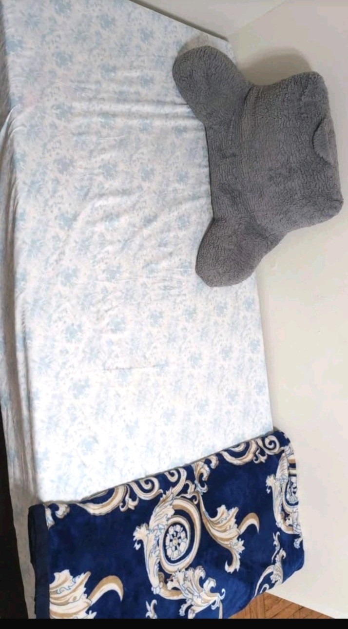 Twin Mattress with Spring Box Mattress