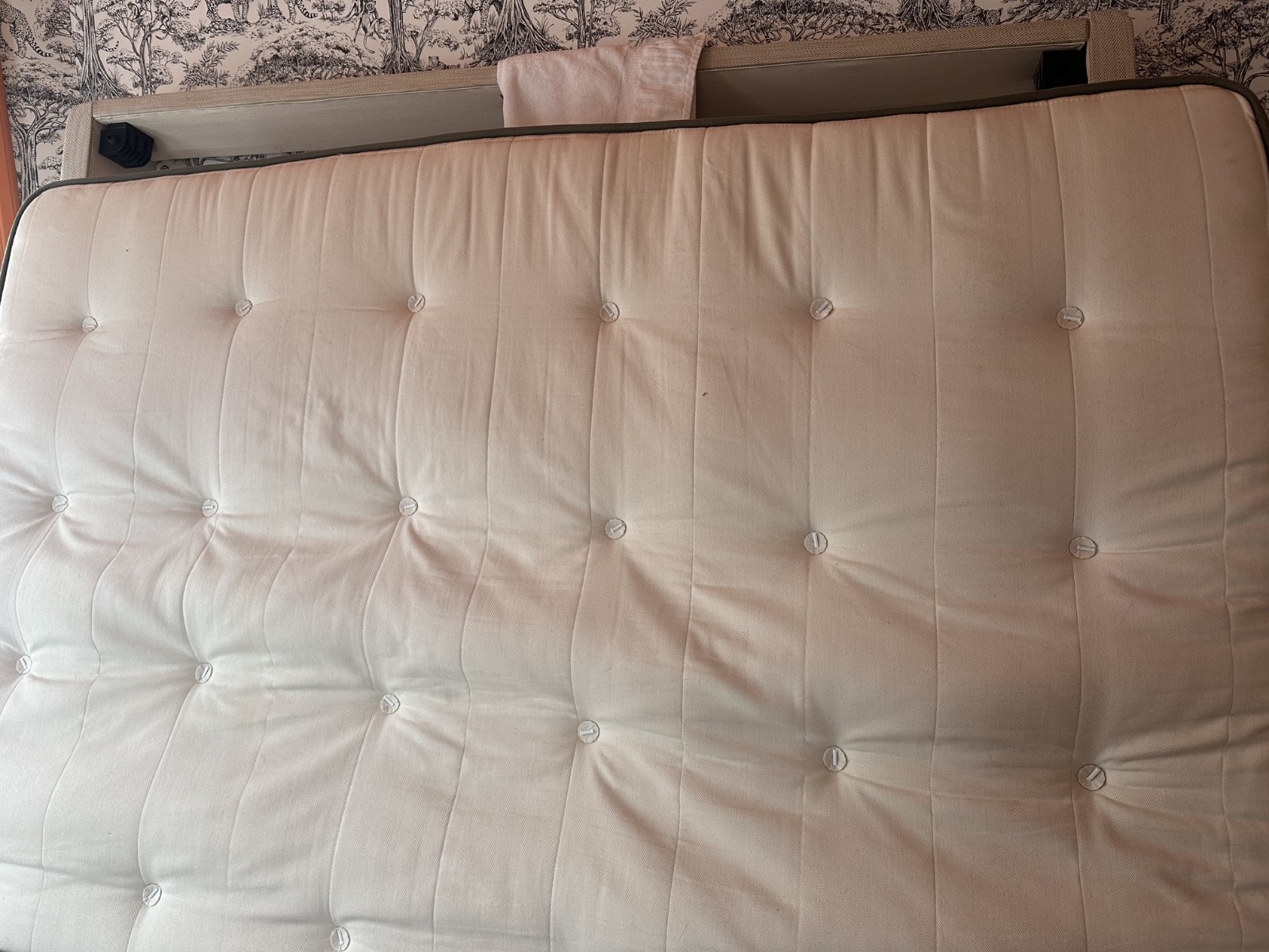 Avocado Green organic mattress king size medium firmness