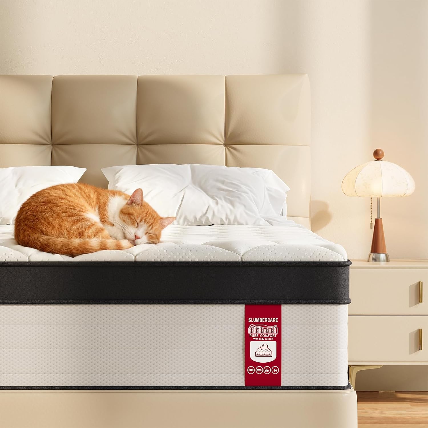 Queen Size Mattress 10 Inch Queen Mattress in a Box Memory Foam Hybrid Matress