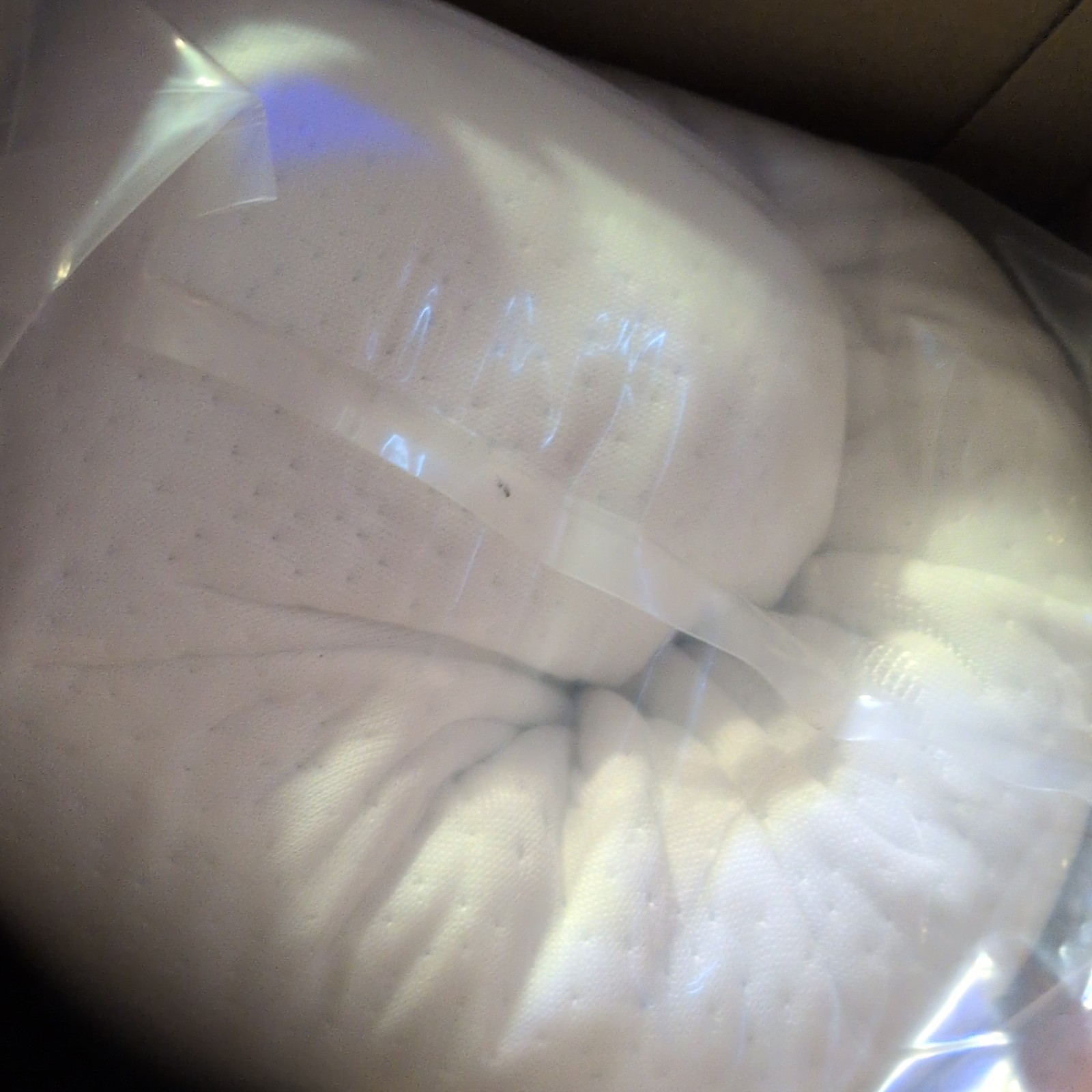 AOHWIDER Bassinet Mattress SCB–01 Firm White Twin Rectangle 30 x 18 in